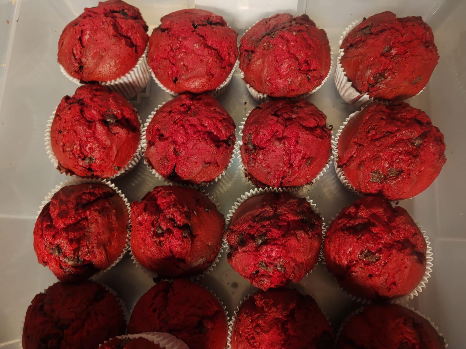 Flo’s red velvet muffins in a bulk tray